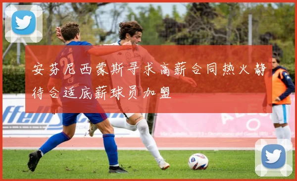 安芬尼西蒙斯寻求高薪合同热火静待合适底薪球员加盟